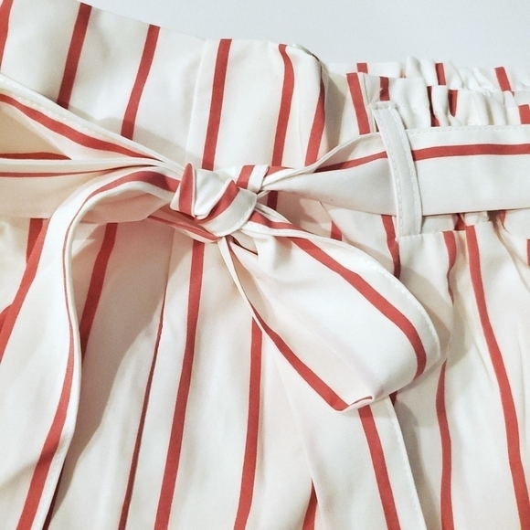 Plus Size Pink Pinstriped Shorts▪︎2x - Picture 6 of 9